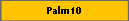 Palm10